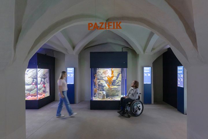 Besucherin steht im Bereich "Pazifik" im Aquarienkeller mit Gewölbedecke 