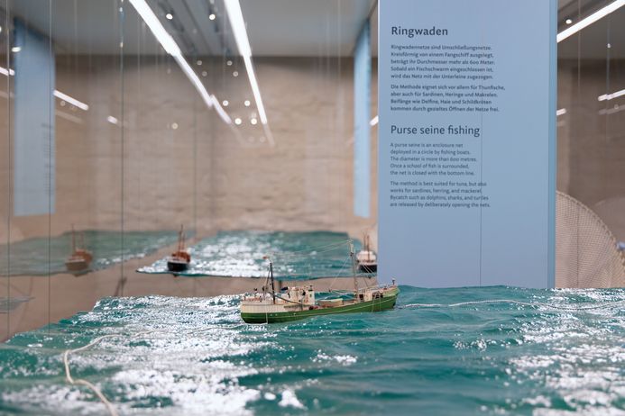 Modellschiff im nachgebildeten Wasser, dahinter eine Erklärtafel zu "Ringwaden"