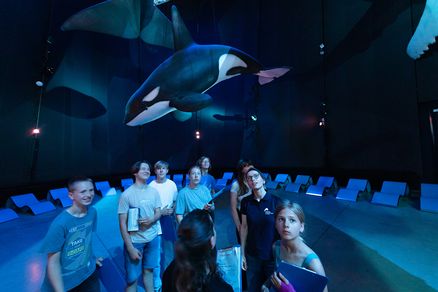 Gruppe von Menschen in dunkler Ausstellungshalle mit hängendem Walmodell