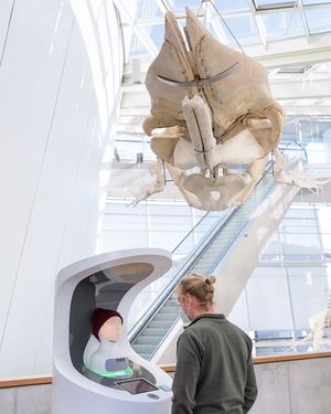 Unter einem Walskelett steht ein Mann vor dem Kopf eines Roboters. 