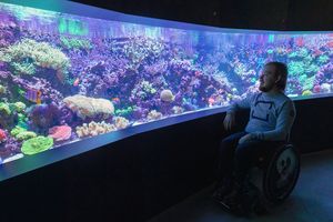 Rollstuhlfahrer befindet sich vor einem Aquarium mit bunten Korallen. Die Scheibe ist gebogen und befindet sich auf Augenhöhe des Rollstuhlfahrers