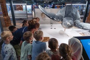 Kinder stehen vor einem Schildkrötenexponat